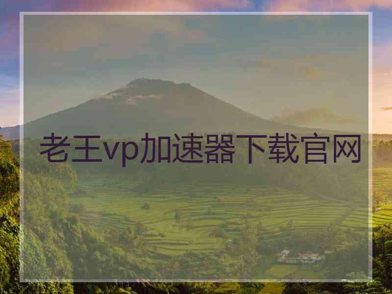 老王vp加速器下载官网