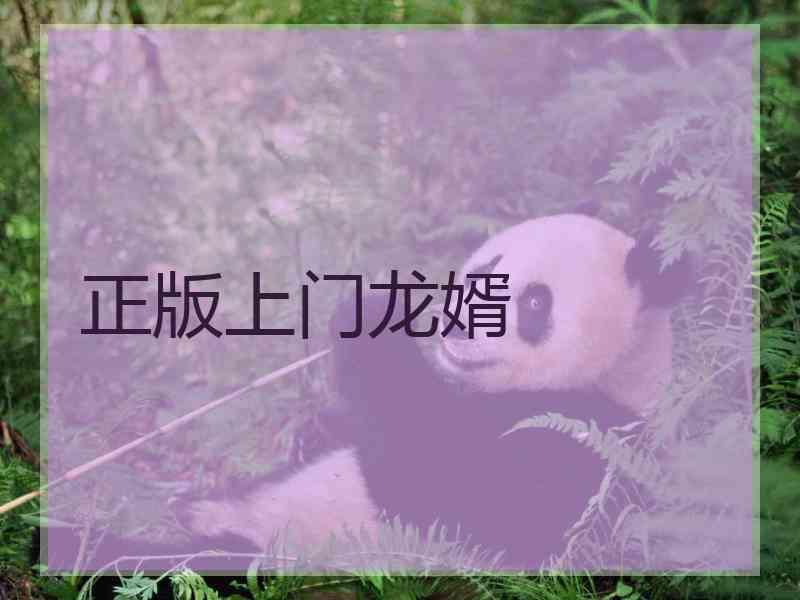 正版上门龙婿