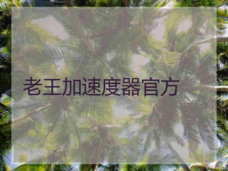 老王加速度器官方