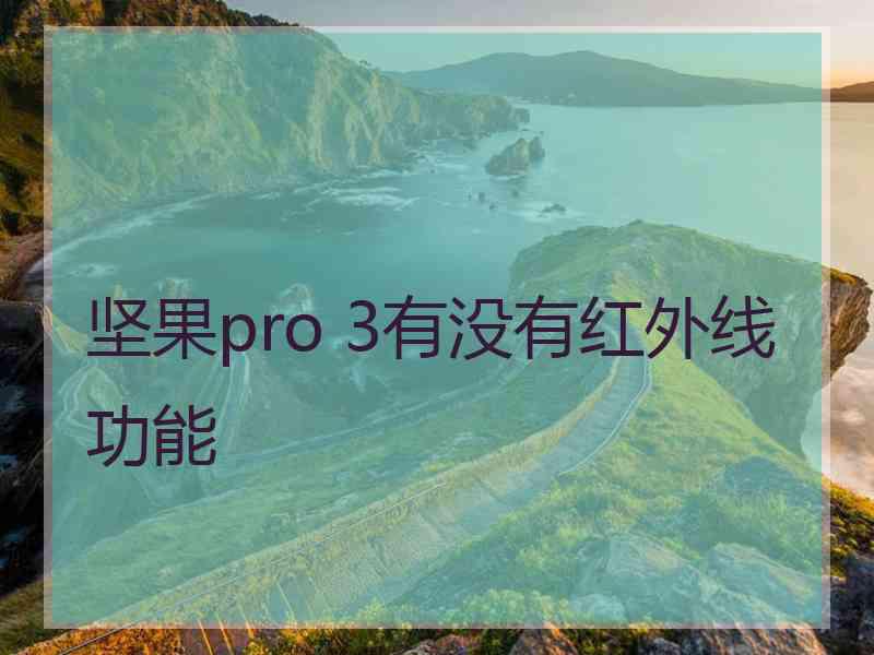 坚果pro 3有没有红外线功能