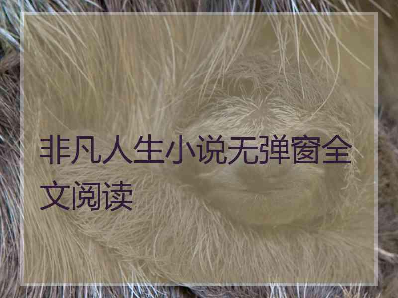 非凡人生小说无弹窗全文阅读