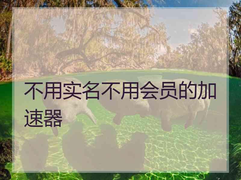 不用实名不用会员的加速器