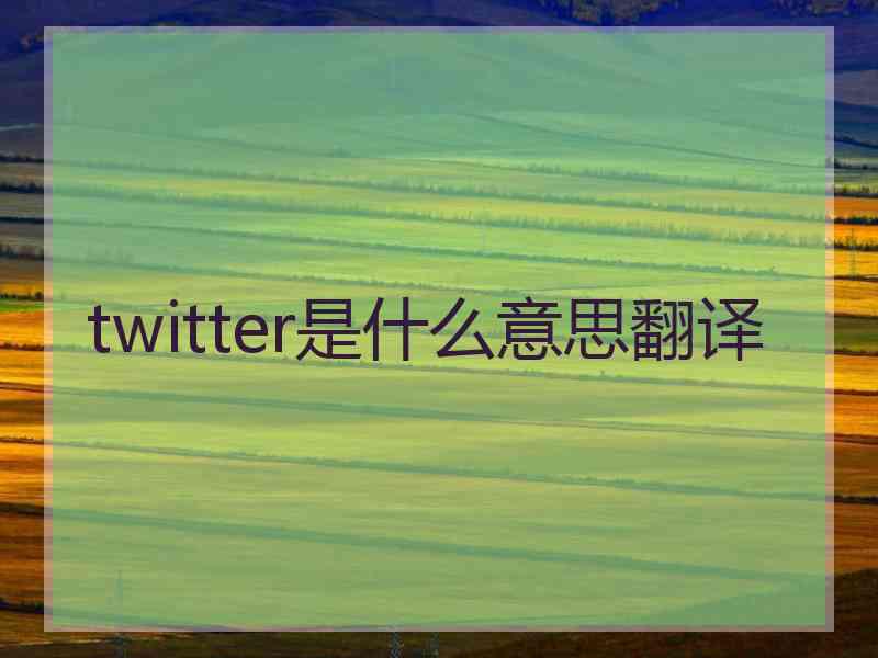 twitter是什么意思翻译