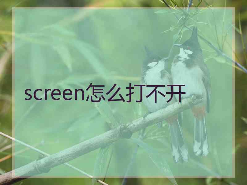 screen怎么打不开