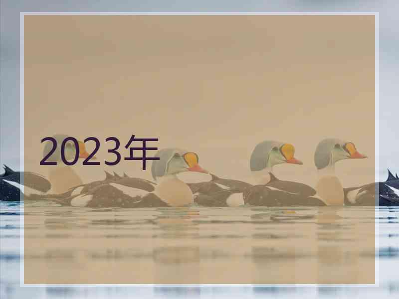 2023年