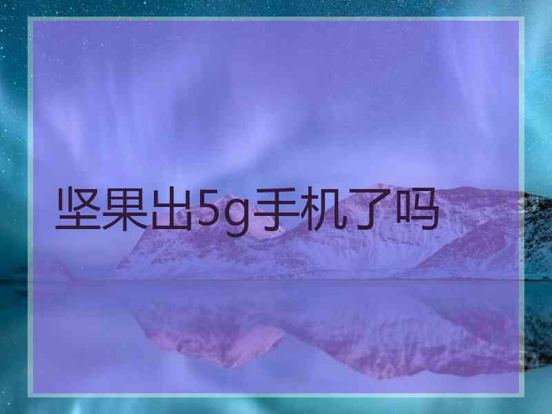 坚果出5g手机了吗