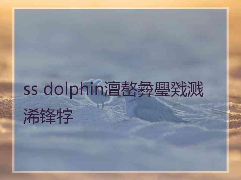 ss dolphin澶嶅彜璺戣溅浠锋牸