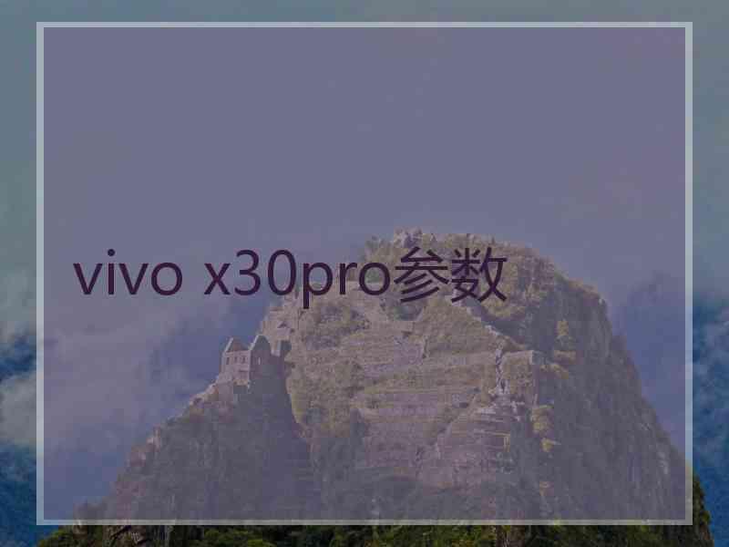 vivo x30pro参数