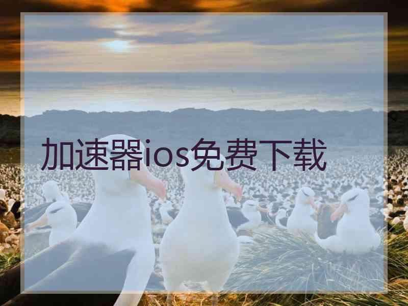 加速器ios免费下载