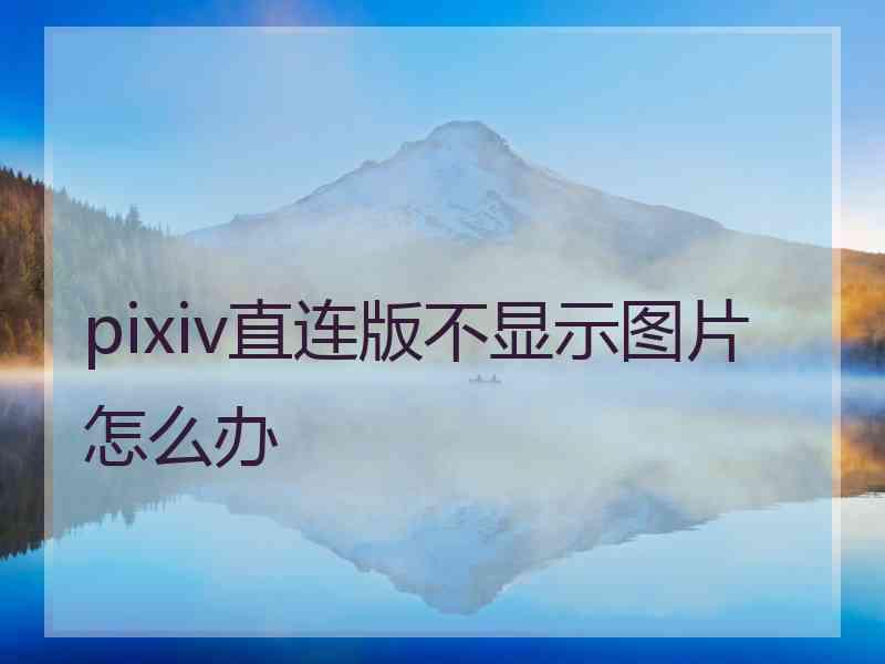 pixiv直连版不显示图片怎么办