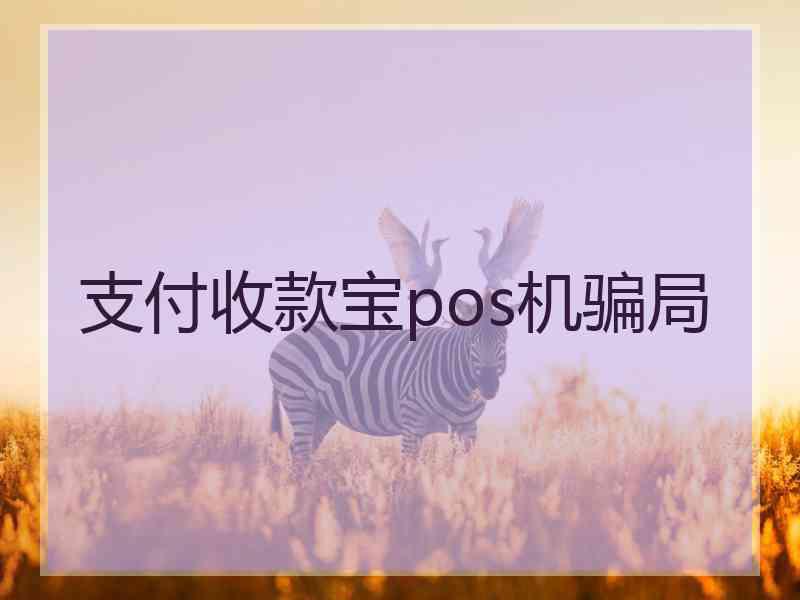 支付收款宝pos机骗局