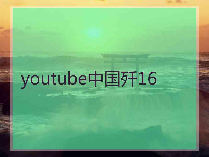 youtube中国歼16