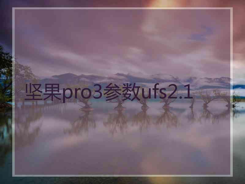 坚果pro3参数ufs2.1