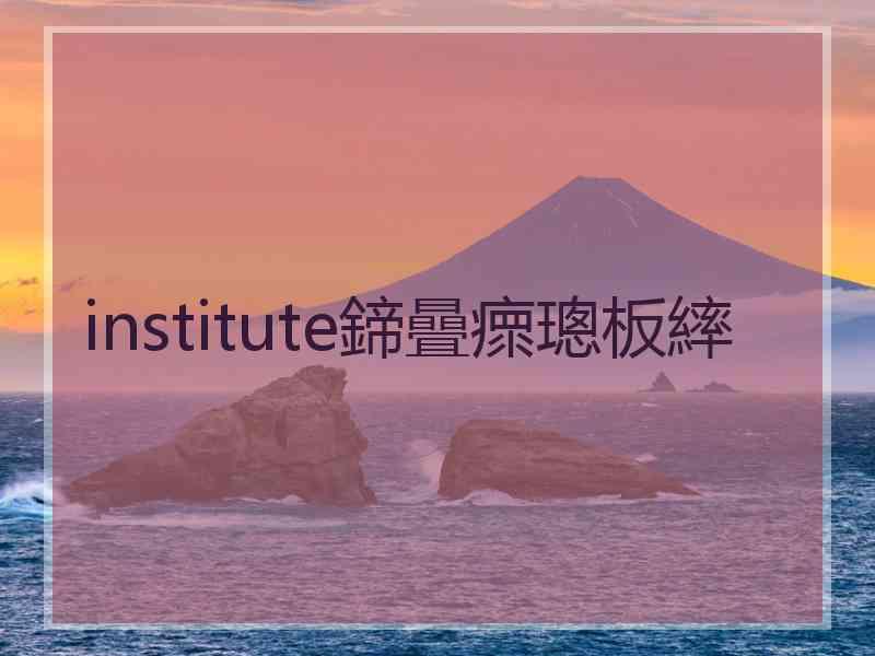 institute鍗曡瘝璁板繂