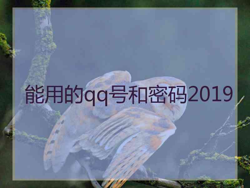 能用的qq号和密码2019