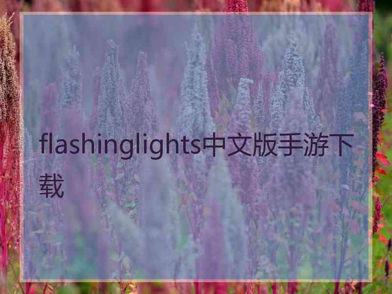 flashinglights中文版手游下载