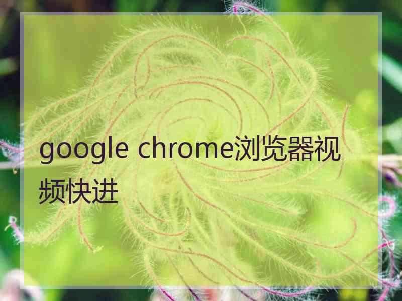 google chrome浏览器视频快进