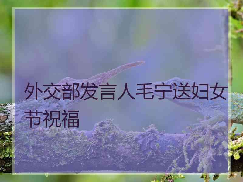 外交部发言人毛宁送妇女节祝福