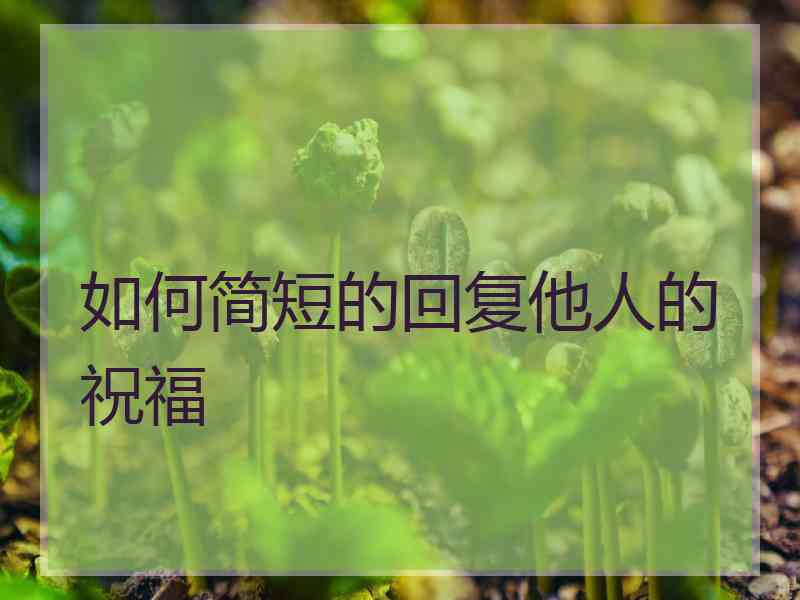 如何简短的回复他人的祝福