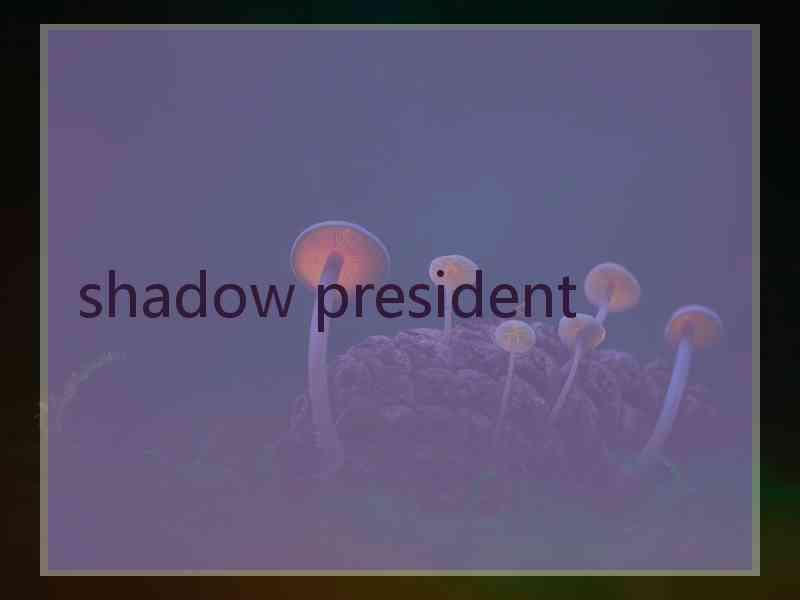 shadow president