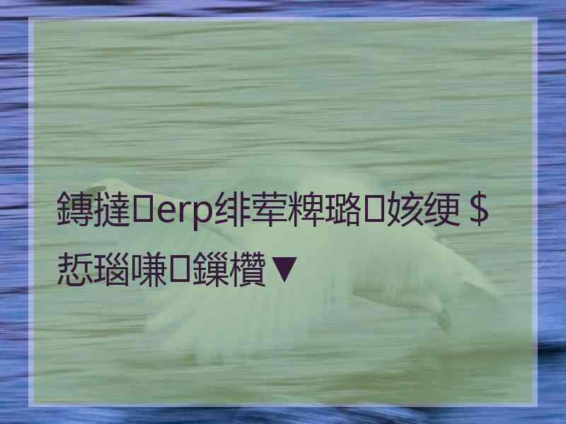 鏄撻erp绯荤粺璐㈠姟绠＄悊瑙嗛鏁欑▼