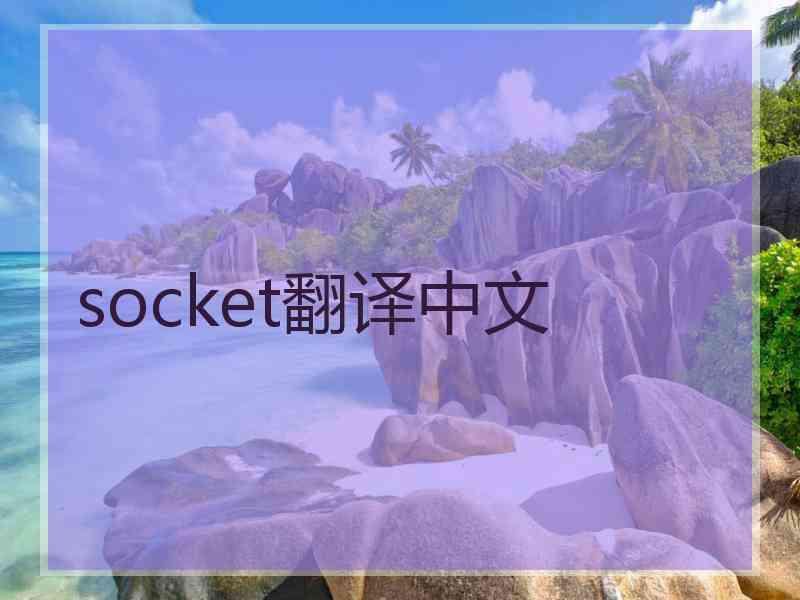 socket翻译中文