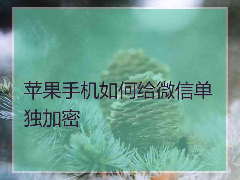 苹果手机如何给微信单独加密