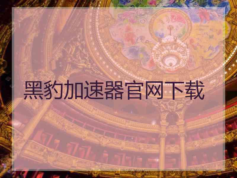 黑豹加速器官网下载