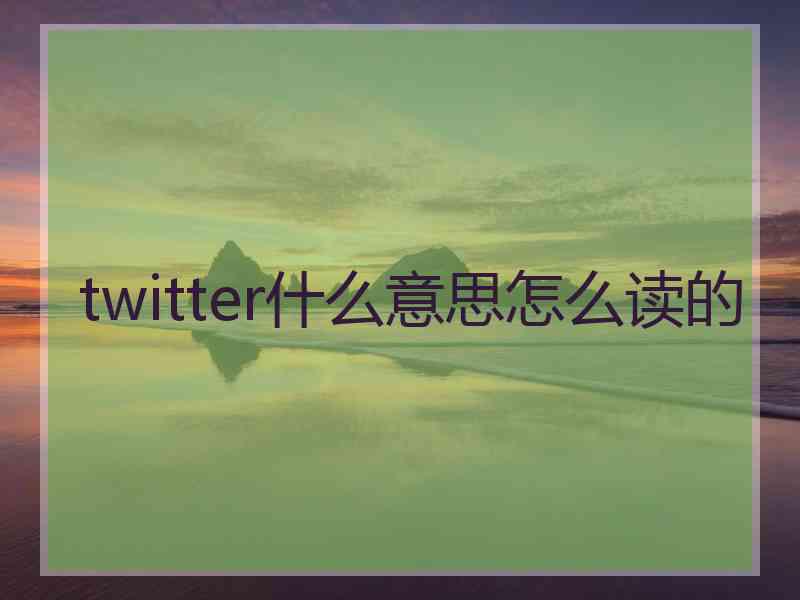 twitter什么意思怎么读的