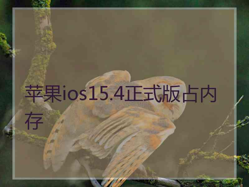 苹果ios15.4正式版占内存