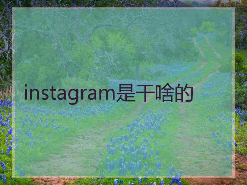 instagram是干啥的