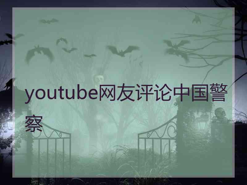 youtube网友评论中国警察