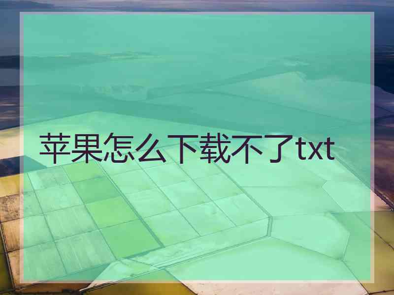 苹果怎么下载不了txt