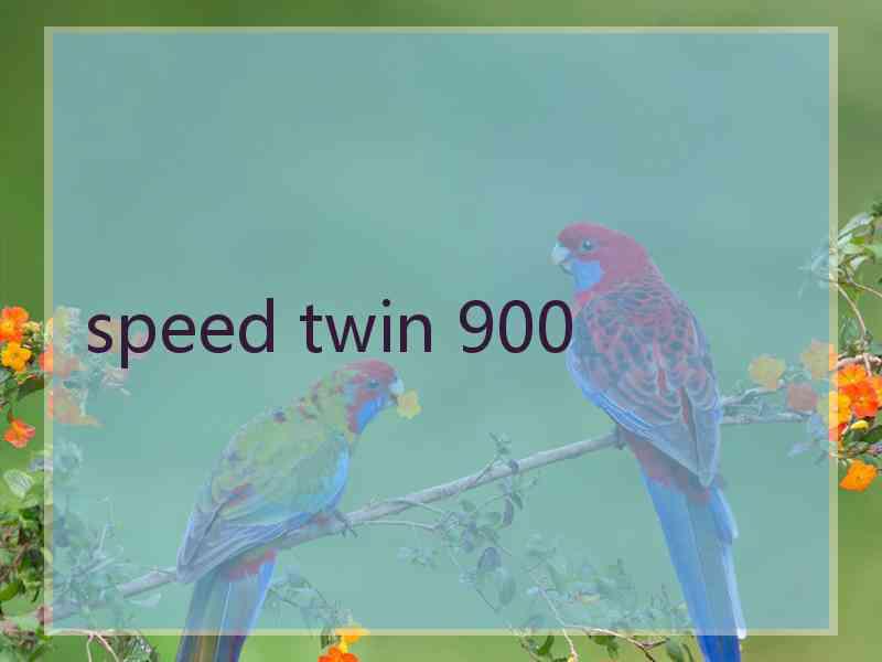 speed twin 900