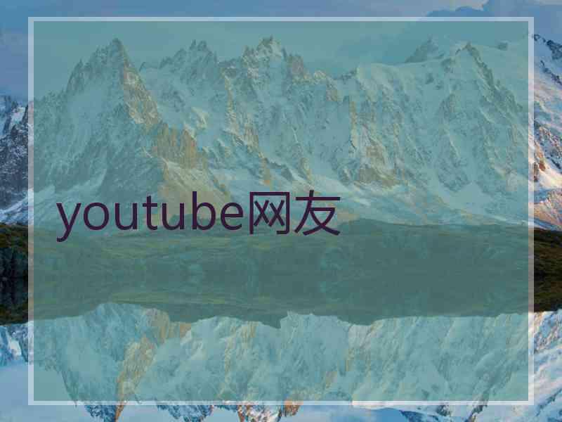 youtube网友