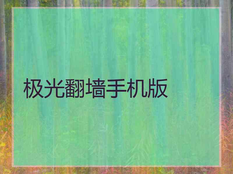 极光翻墙手机版