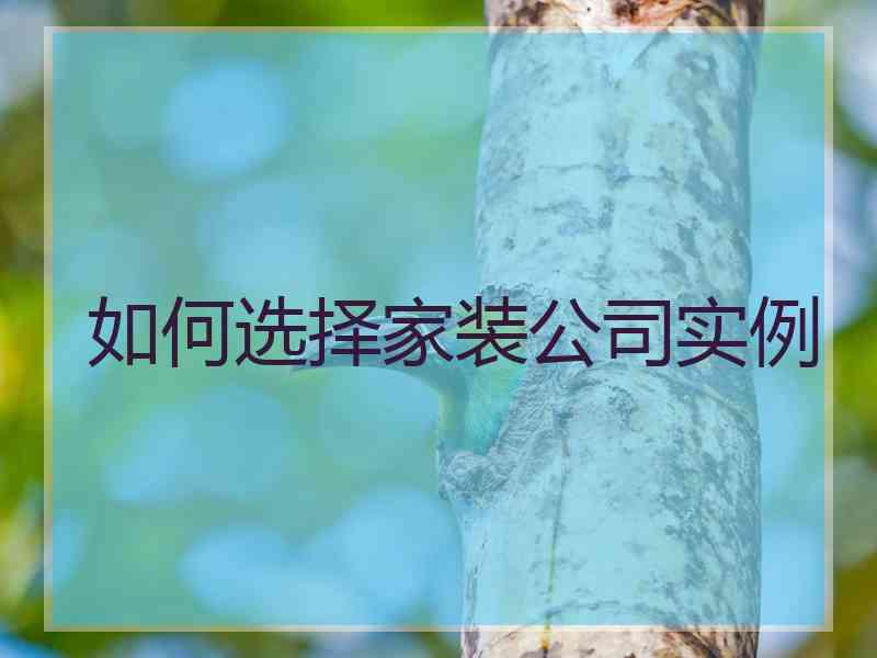 如何选择家装公司实例