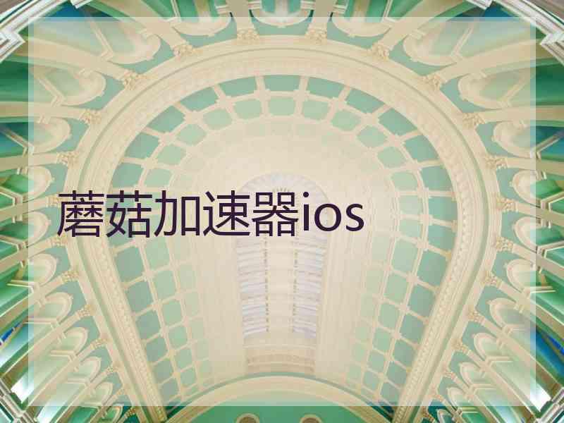 蘑菇加速器ios