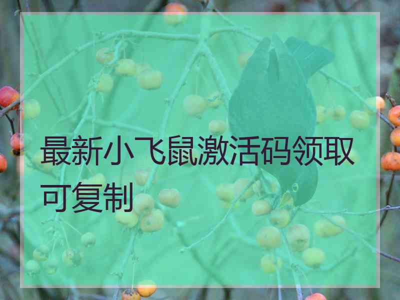 最新小飞鼠激活码领取可复制