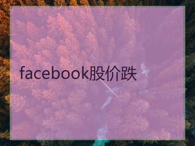 facebook股价跌