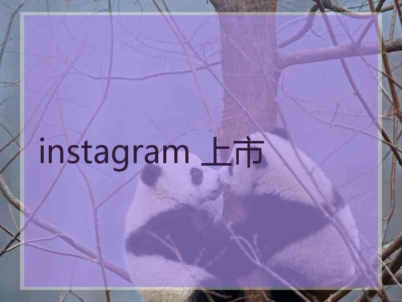 instagram 上市