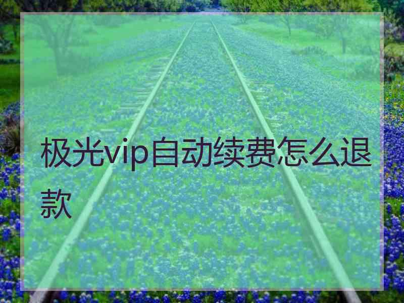 极光vip自动续费怎么退款