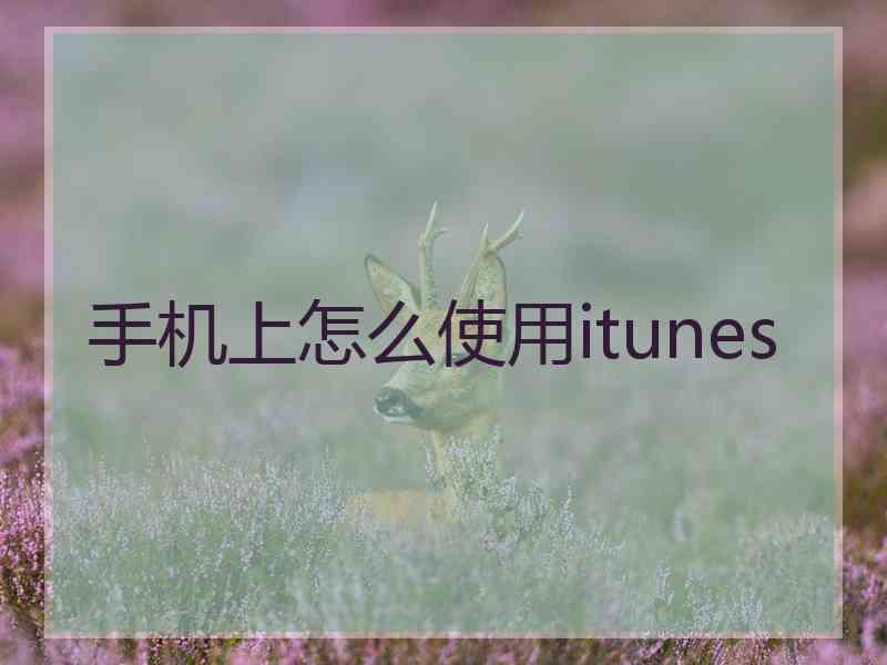 手机上怎么使用itunes