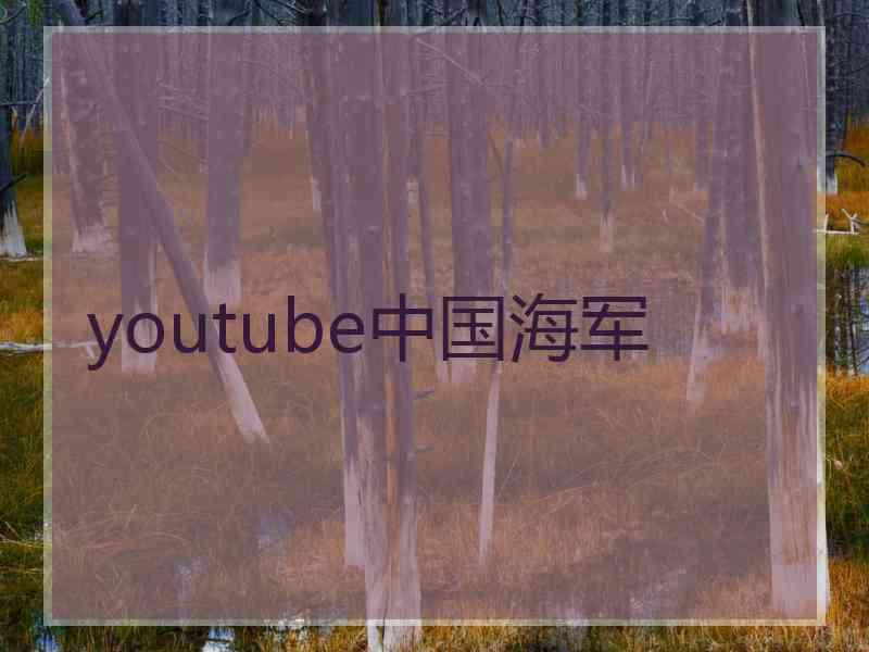 youtube中国海军