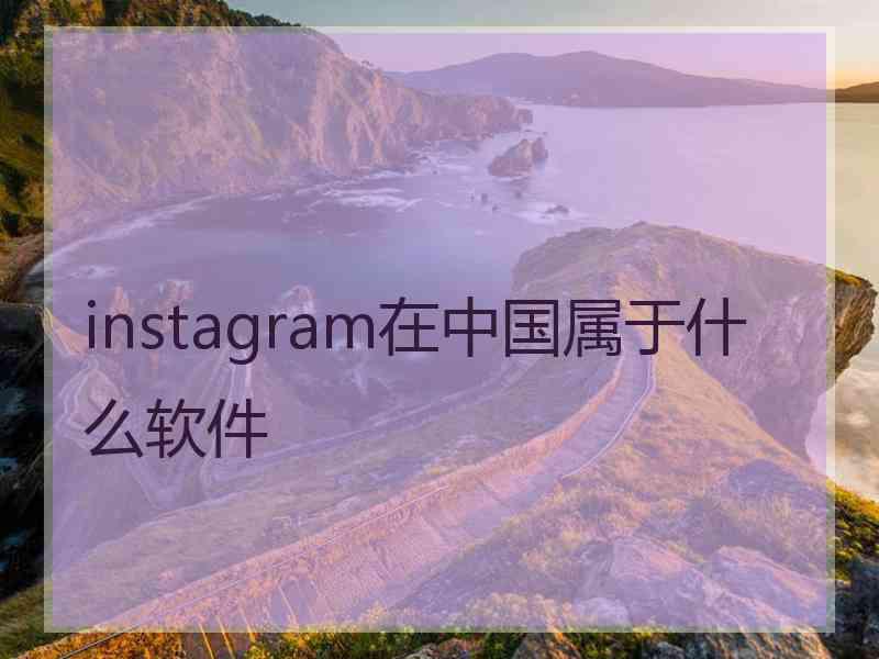 instagram在中国属于什么软件