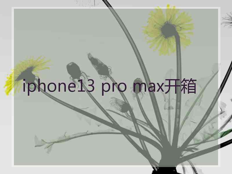 iphone13 pro max开箱