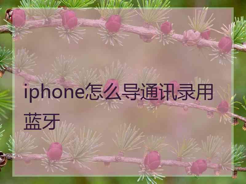 iphone怎么导通讯录用蓝牙