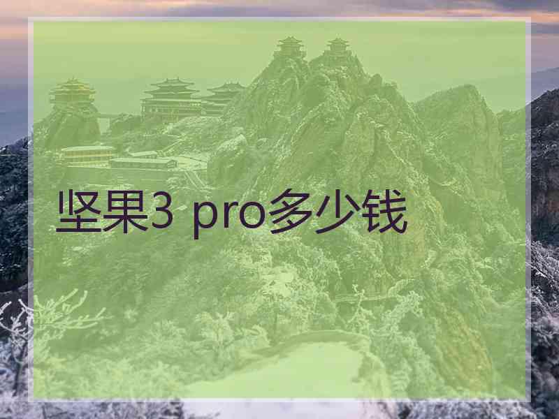 坚果3 pro多少钱