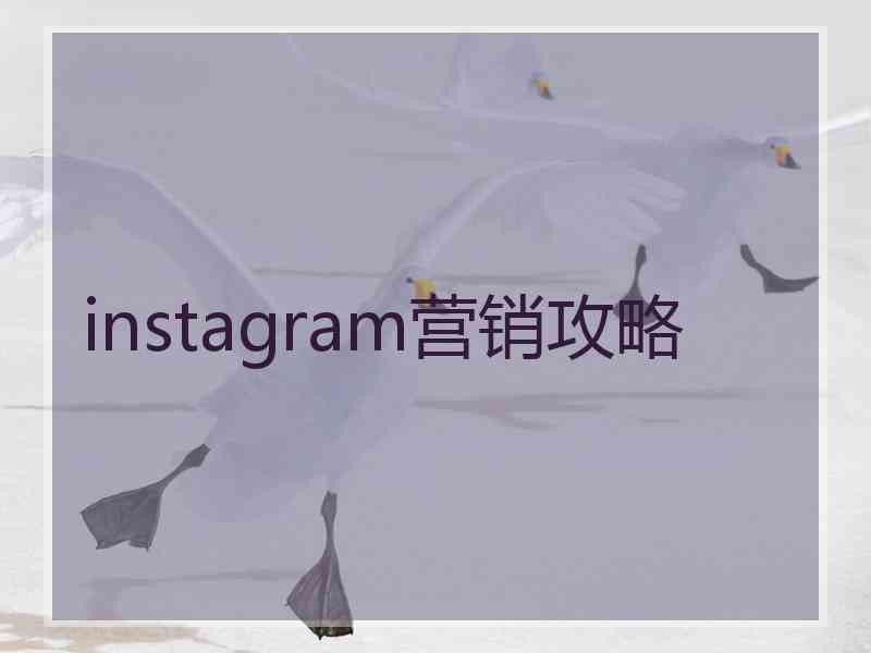 instagram营销攻略