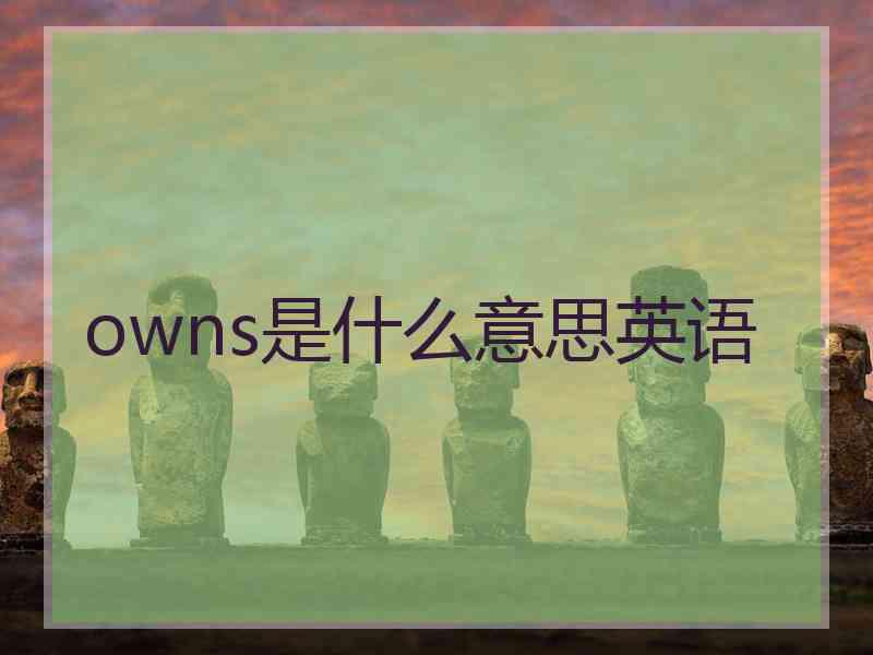 owns是什么意思英语